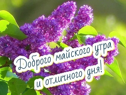 Фото из свободного доступа интернета.