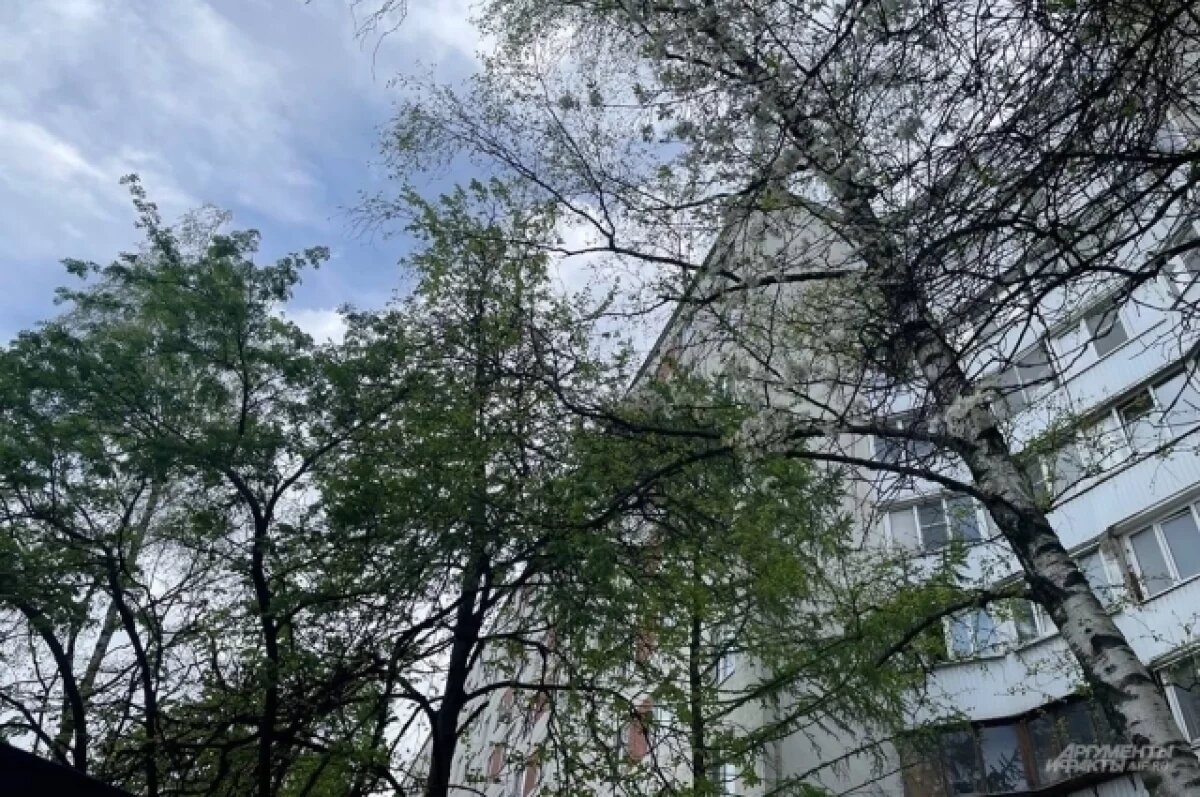    Число погибших при пожаре в девятиэтажке в Москве выросло до трех