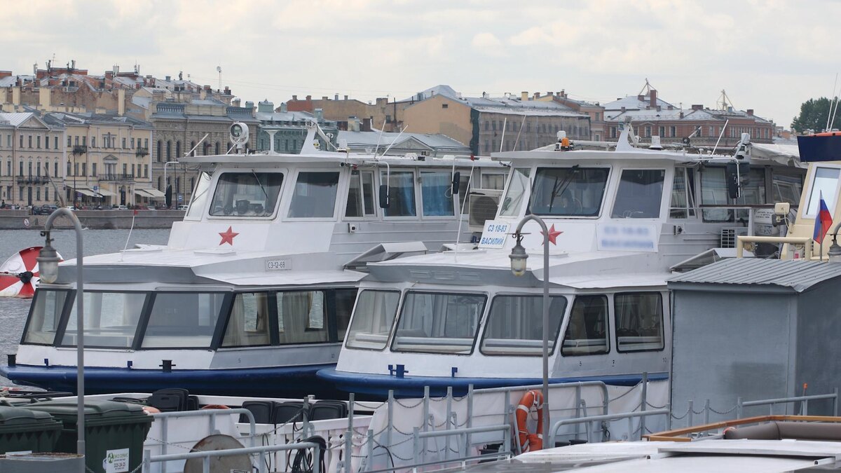    Фото: Maksim Konstantinov/globallookpress.com