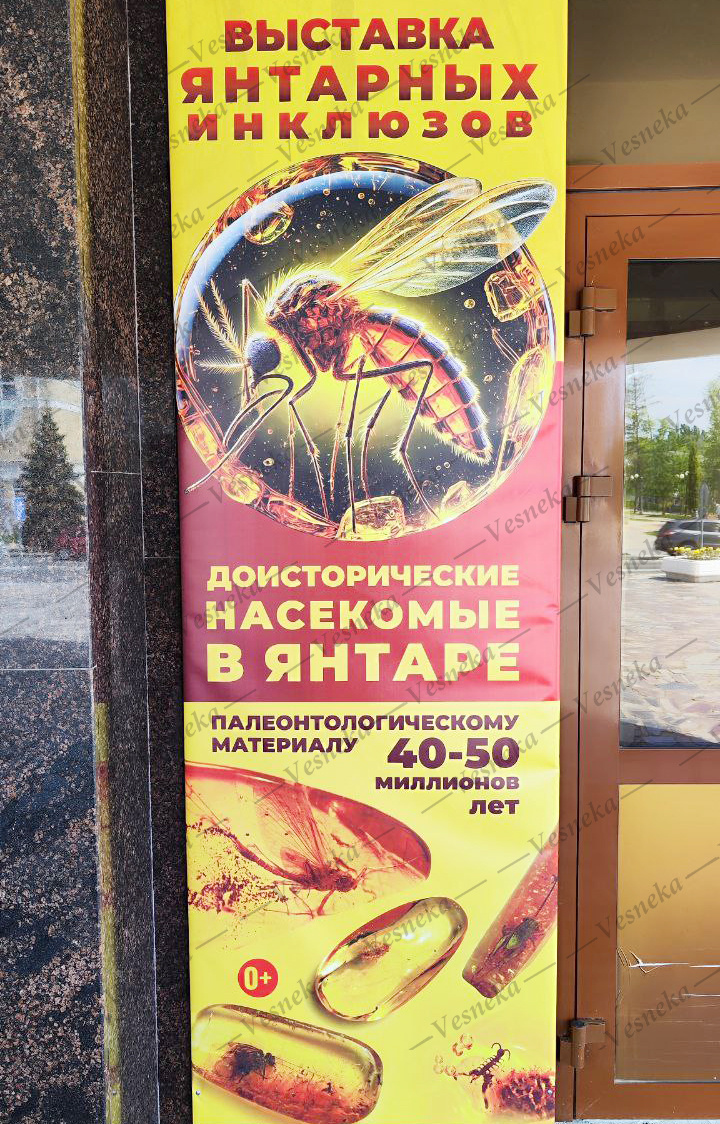 Фото автора. Афиша