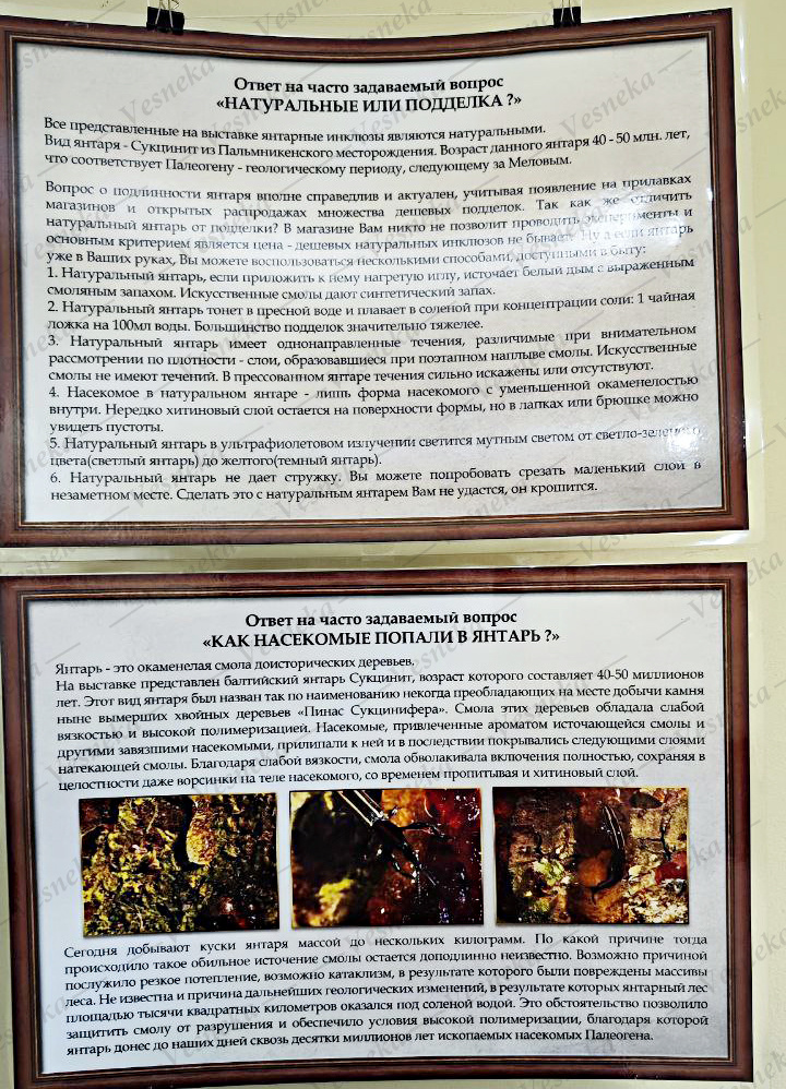 Фото автора. Информационный стенд