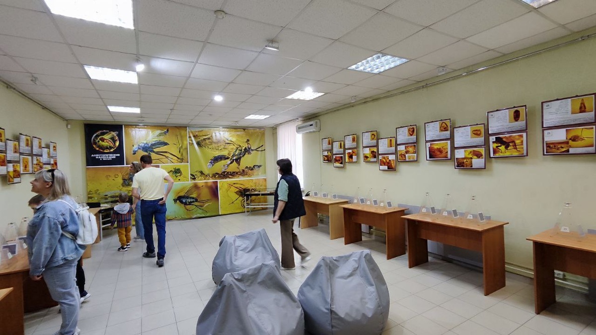 Фото автора