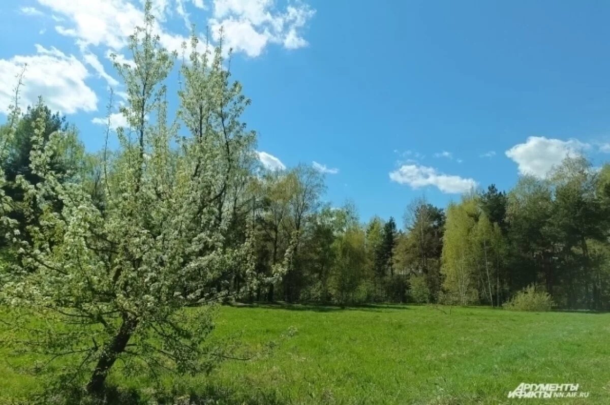    Похолодание придет в Нижний Новгород