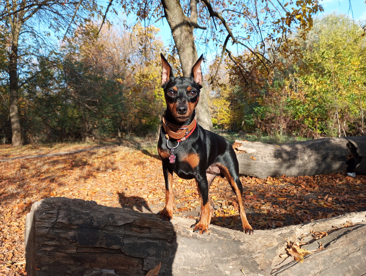 Фото с одной из прогулок на реке