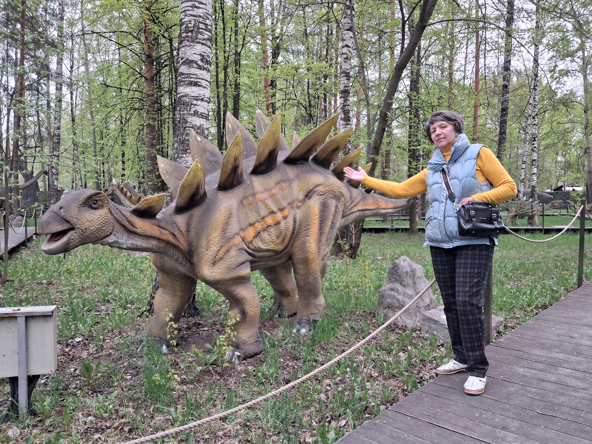 Рядом со Стегозавром. В Динолэнде. Фото Т. Воробьевой. 