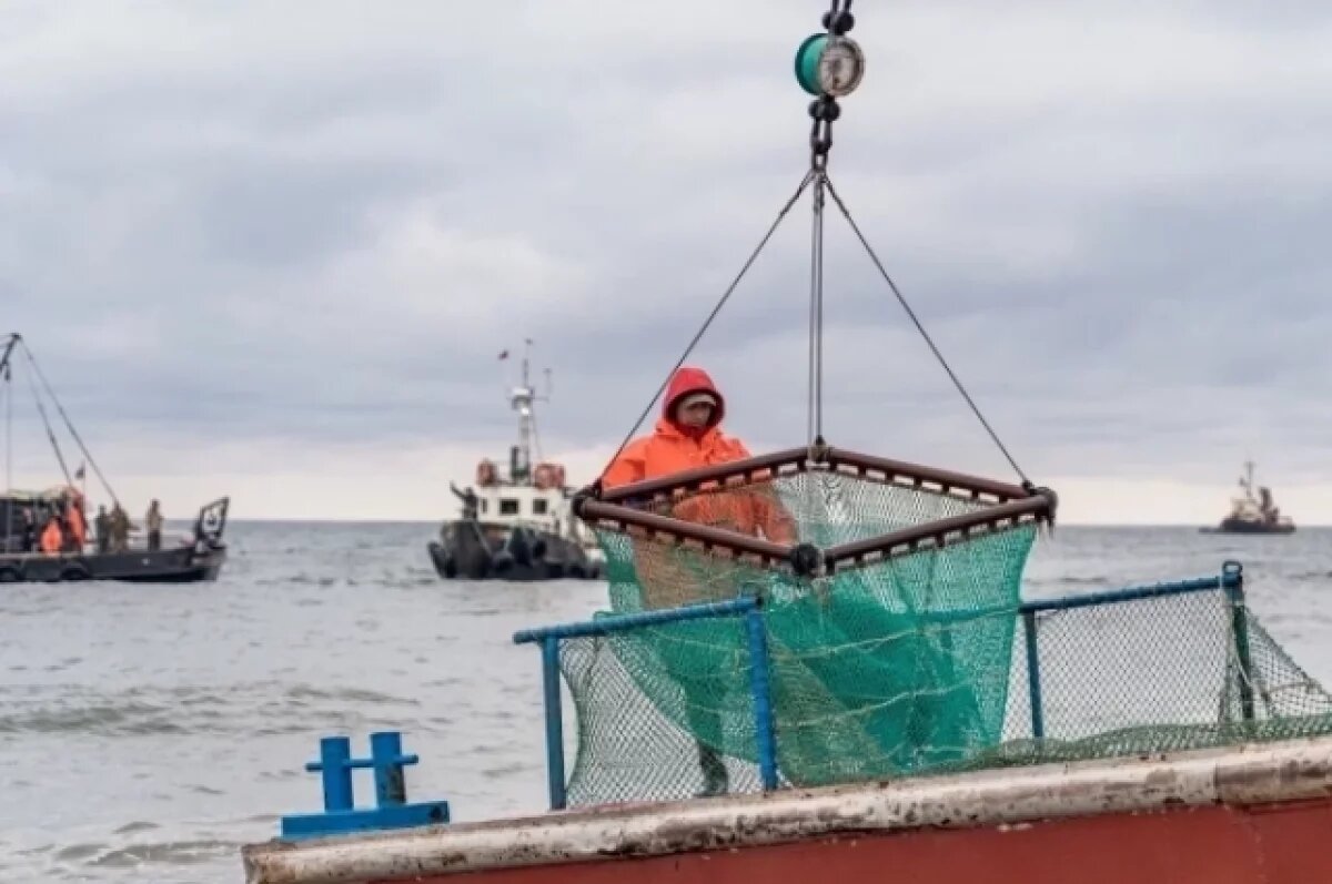    Камчатские рыболовные участки выставили на торги