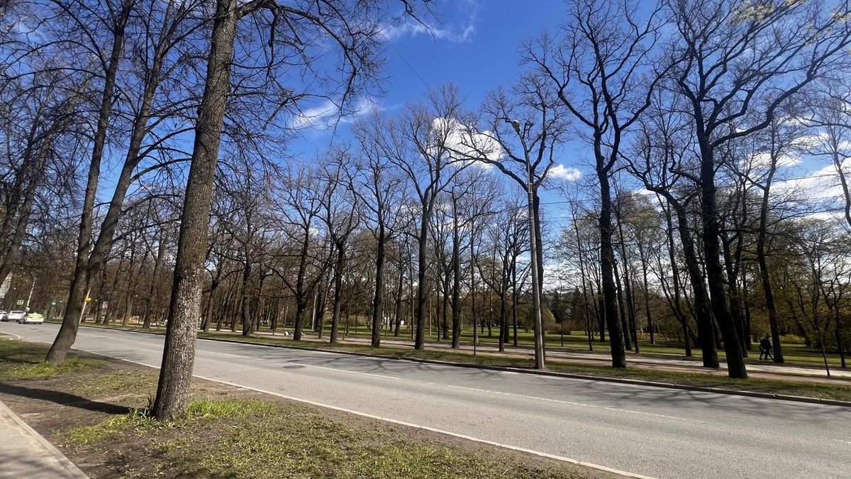 Пушкин числый и зеленый город 