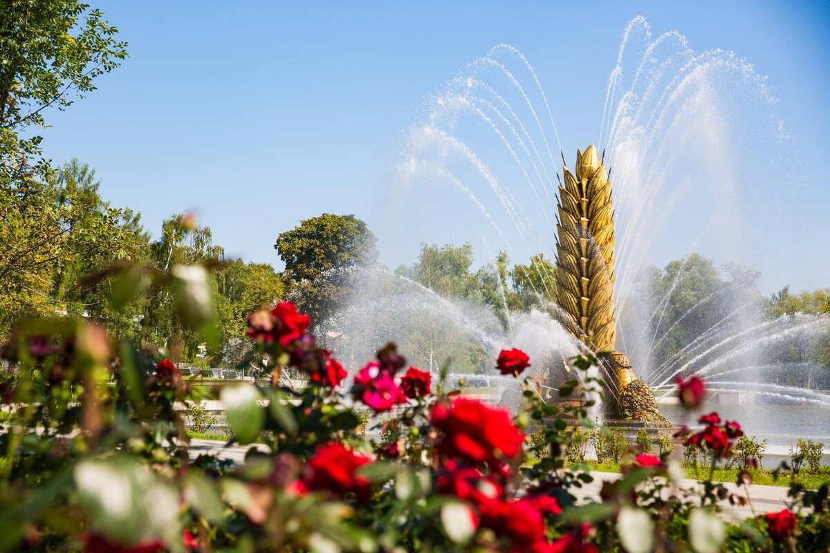 Фонтан «Золотой колос» на ВДНХ. Изображение: t.me/vdnh_moscow