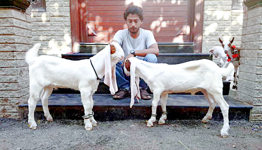 Источник фото: nastanova.com