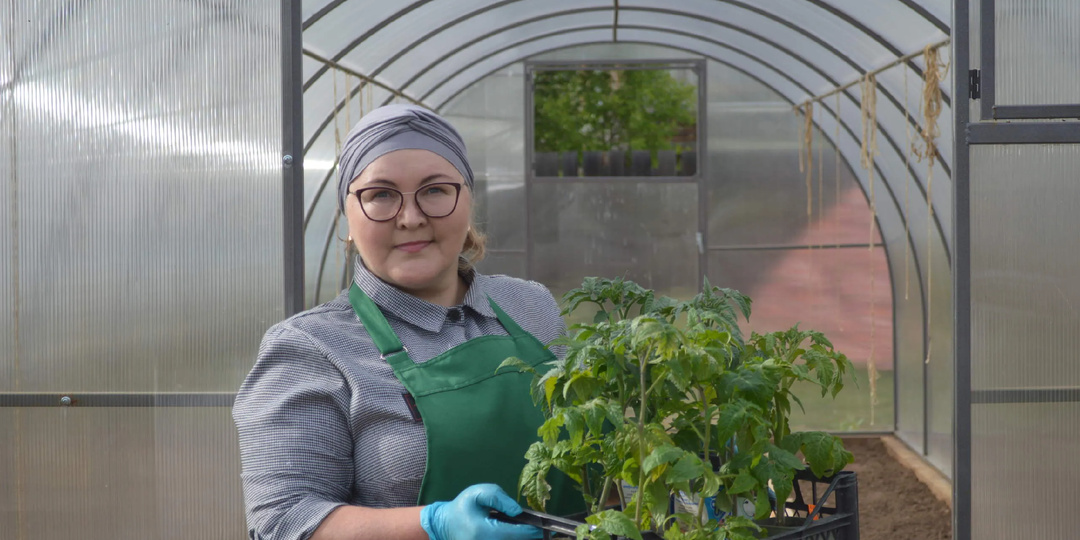 Как избавиться от белокрылки в теплице