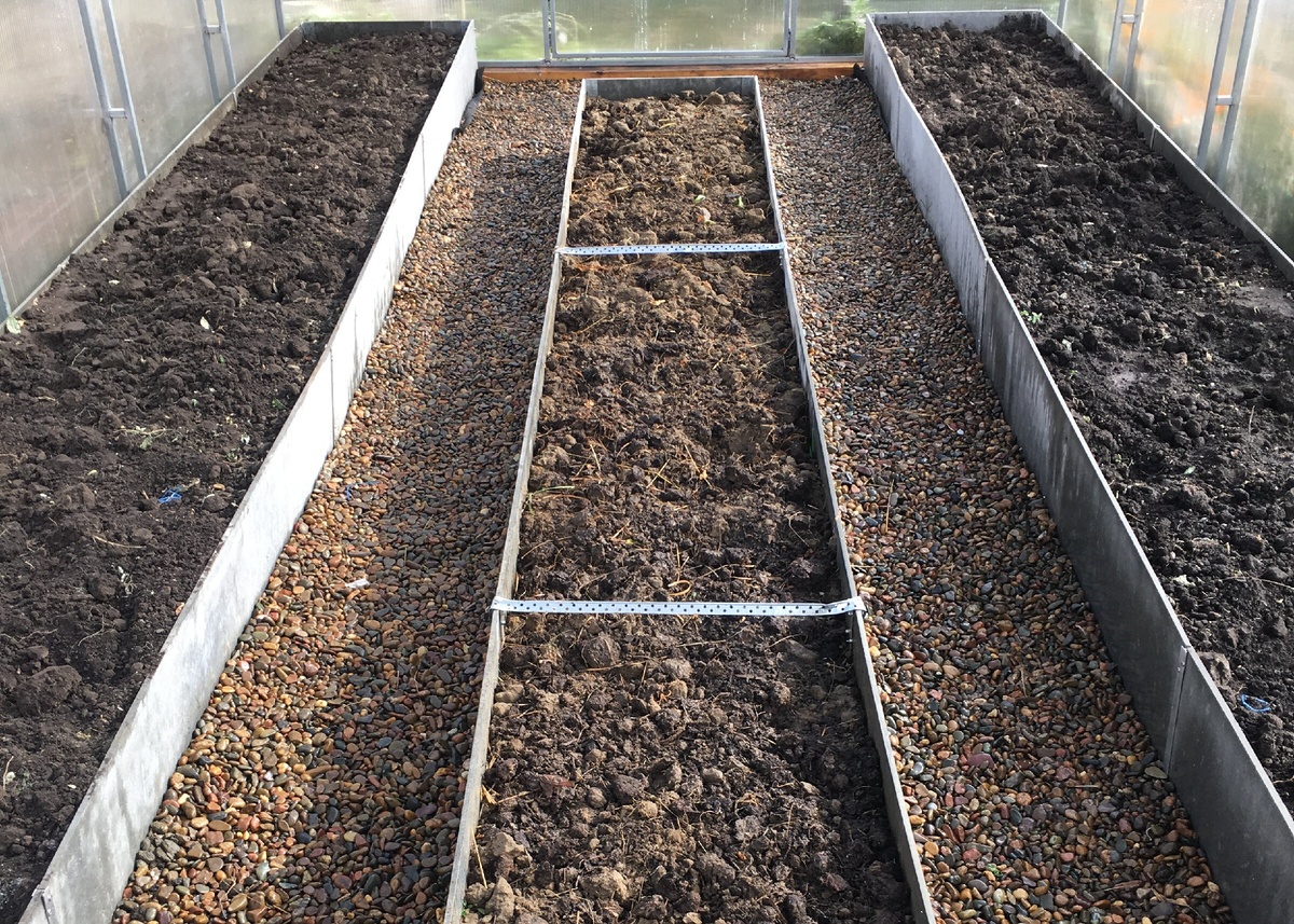 Рассаду высаживаю только в чистую и обработанную теплицу