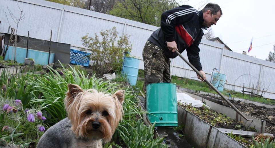    РИА «Новости»