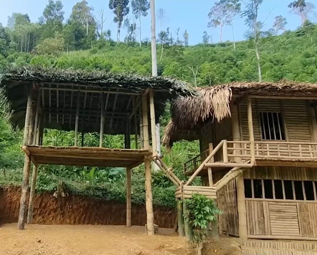 Картинка из Интернета