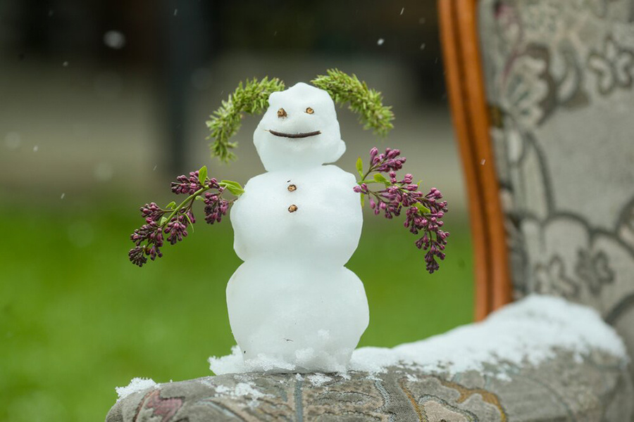    ©Агентство городских новостей "Москва"