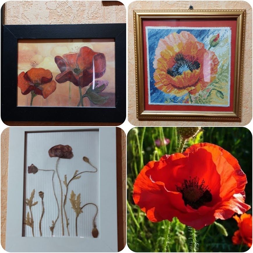 Стена почета в коридоре