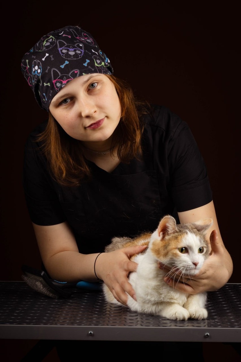 Приюта для животных «Ласка»