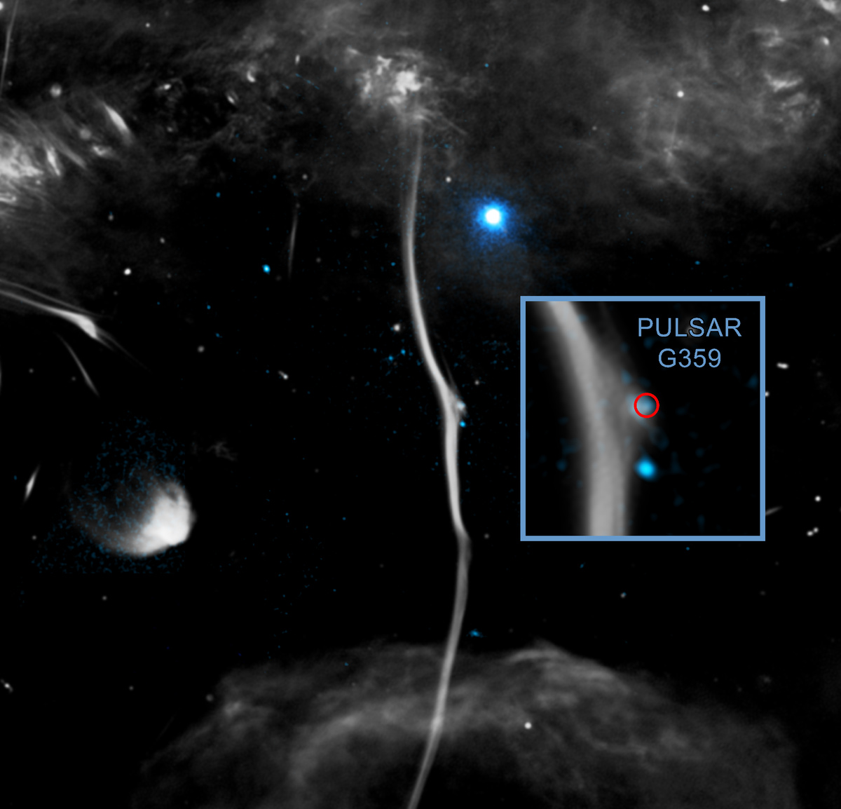 Источник: X-ray: NASA/CXC/Northwestern Univ./F. Yusef-Zadeh et al; Radio: NRF/SARAO/MeerKat; Image Processing: NASA/CXC/SAO/N. Wolk