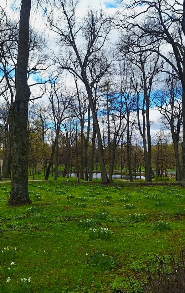 Фото от моей коллеги