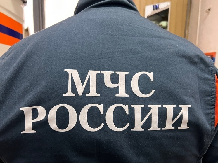 Фото: Екатерина Царева