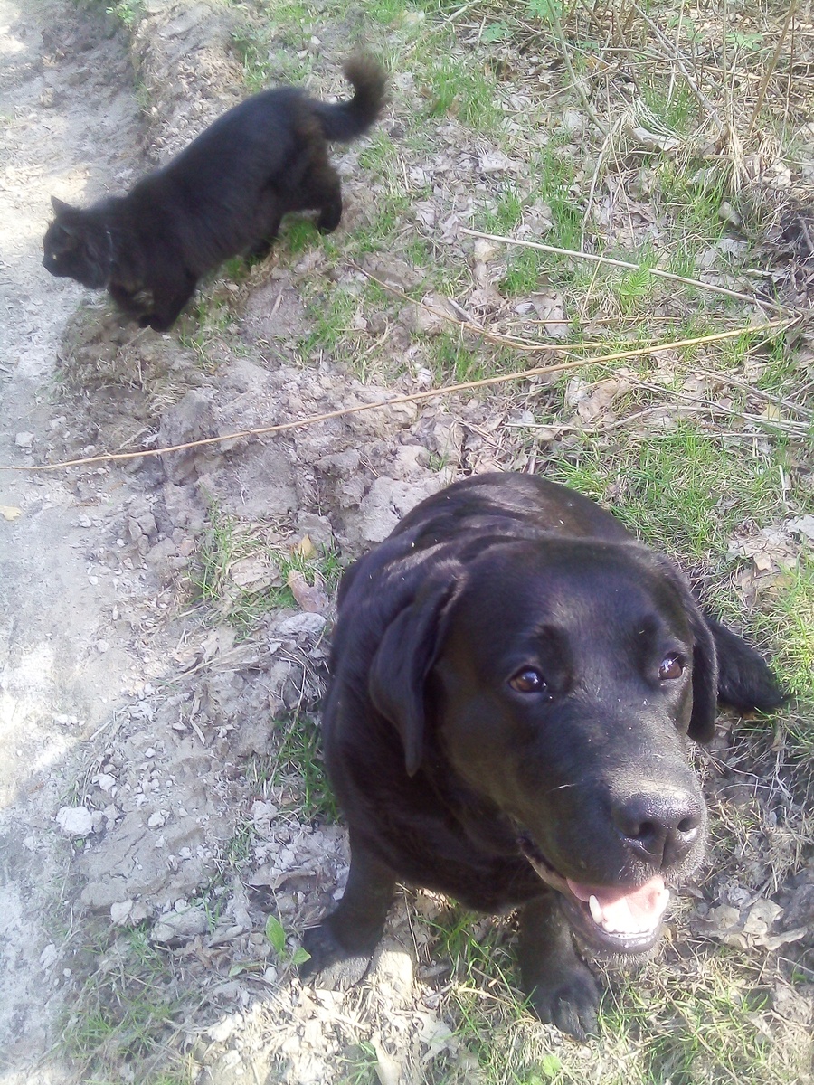 Фото автора.