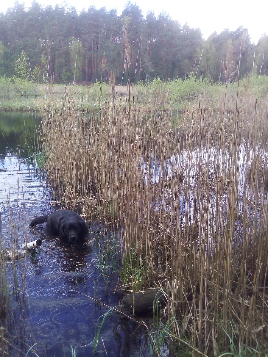 Фото автора.