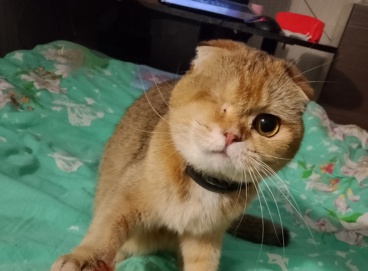 Наташ, я что-то не поняла... Ты че ко мне цепляешься? Прапорщик какой-то... 