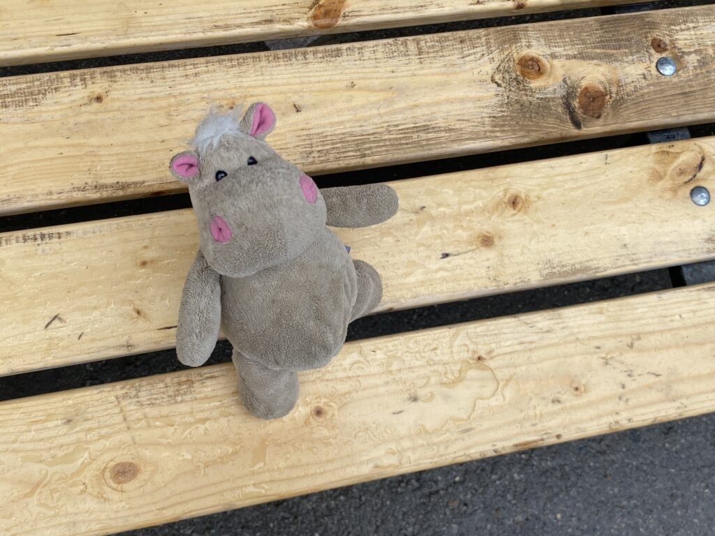    Фото: В курсе.ру Екатерина Устькачкинцева