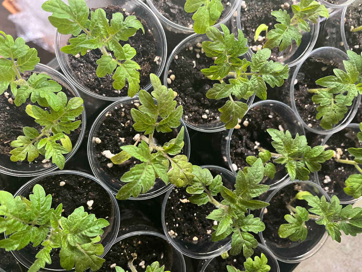 Красота же!