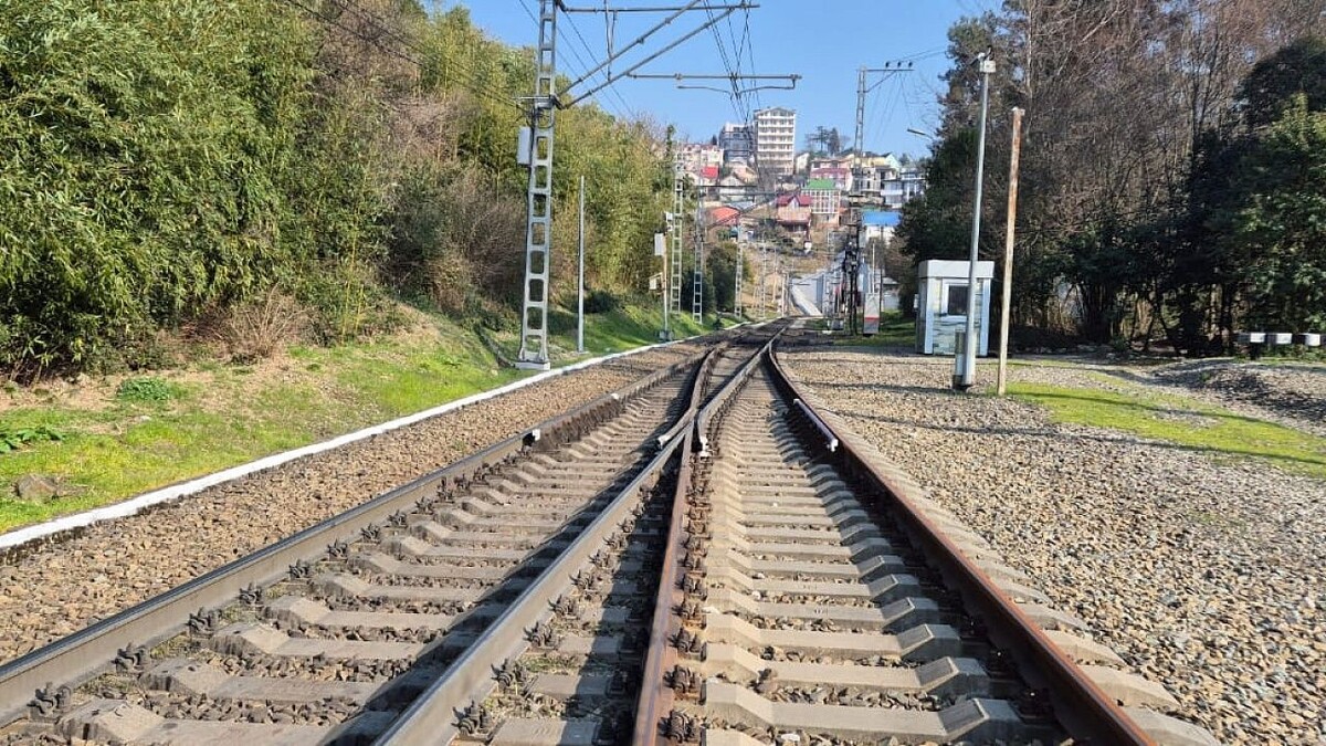    Фото: t.me/utufo