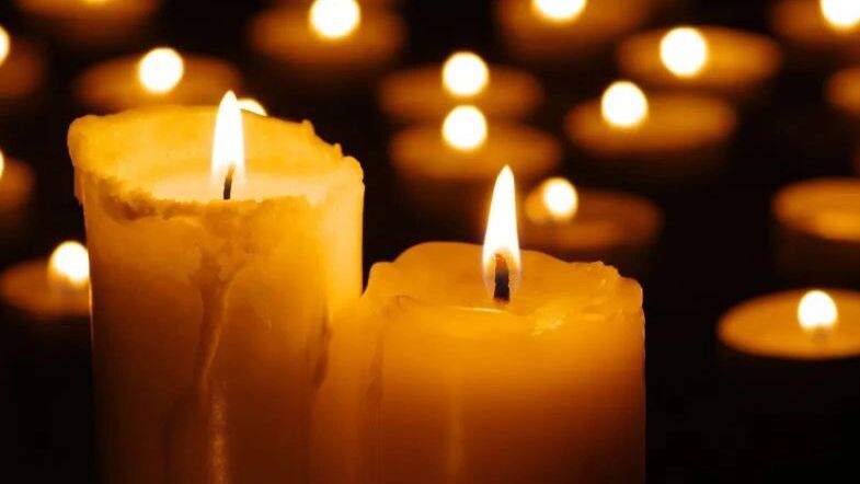    Фото: irin-k/Shutterstock/Fotodom