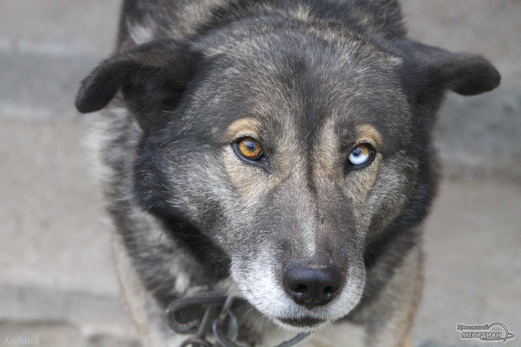    Фото Ольга Аникина © ИА «Уральский меридиан»