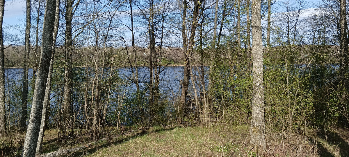 Как прекрасна ранняя весна! 