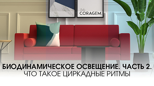 Биодинамическое освещение. Часть 2. Что такое циркадные ритмы