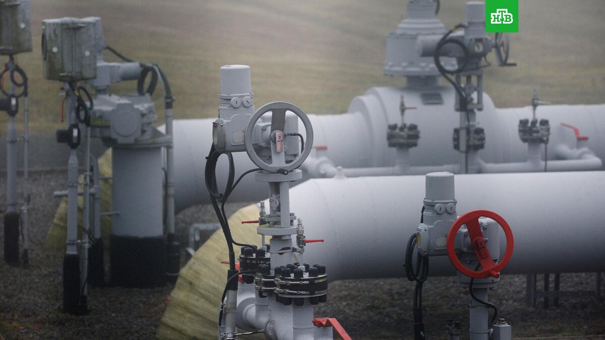    Фото: РИА Новости © 2025, Алексей Витвицкий