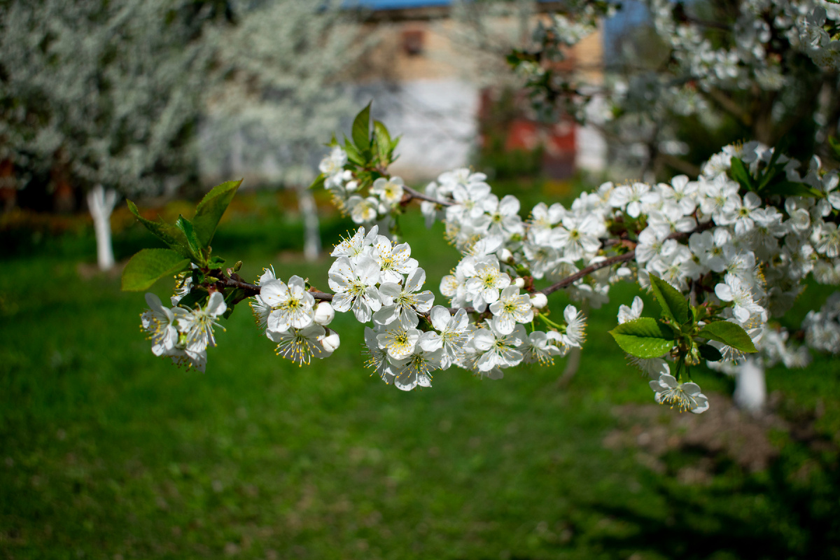  Фотография автора статьи. 