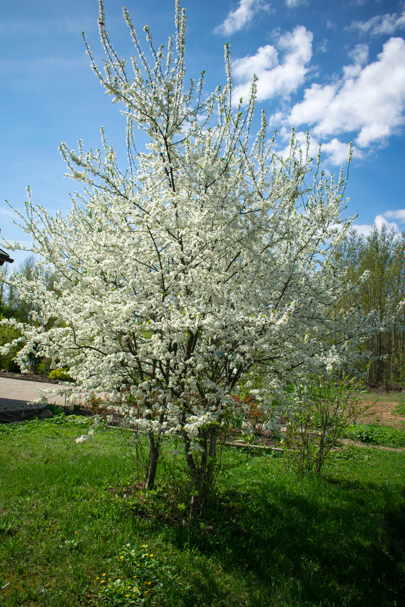  Фотография автора статьи. 