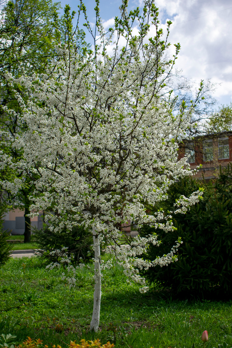  Фотография автора статьи. 