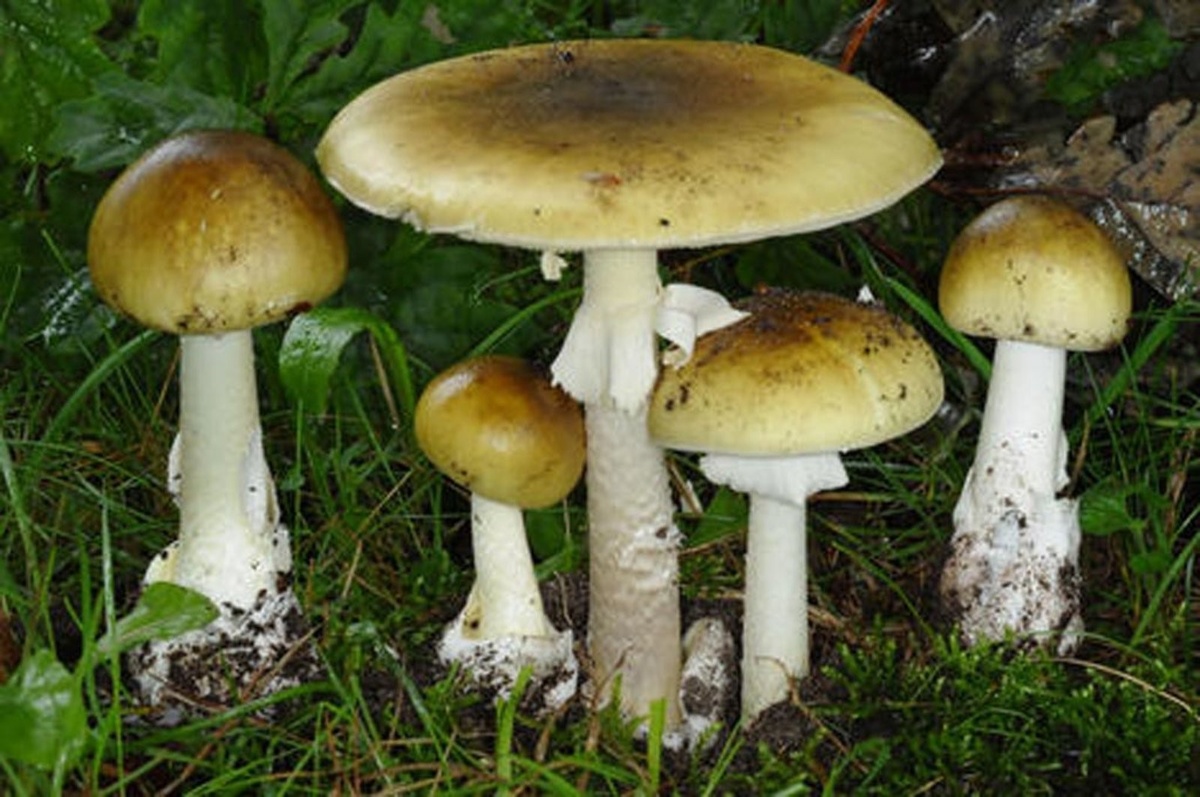 Стихи для детей