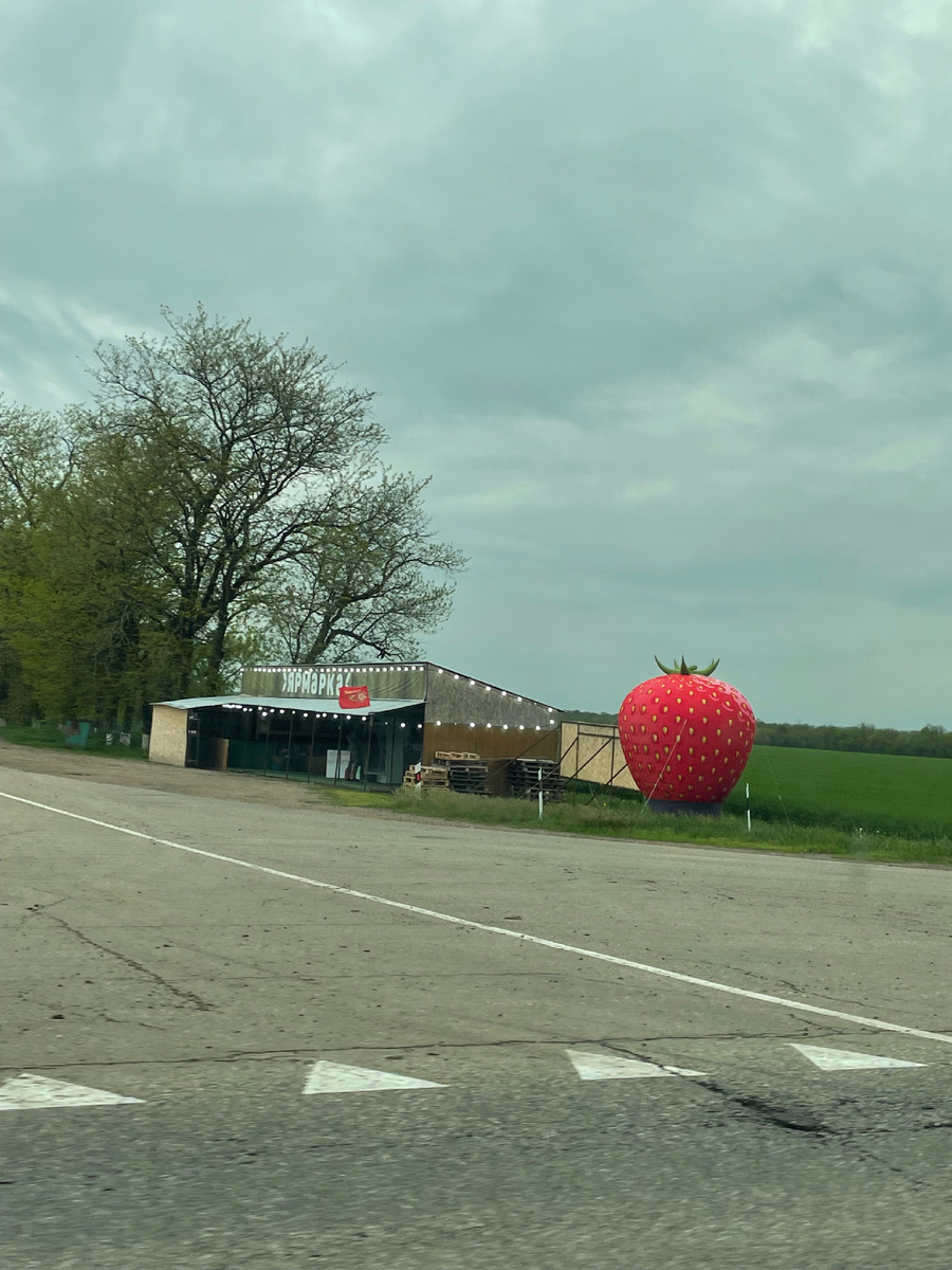 По всей дороге продают клубнику