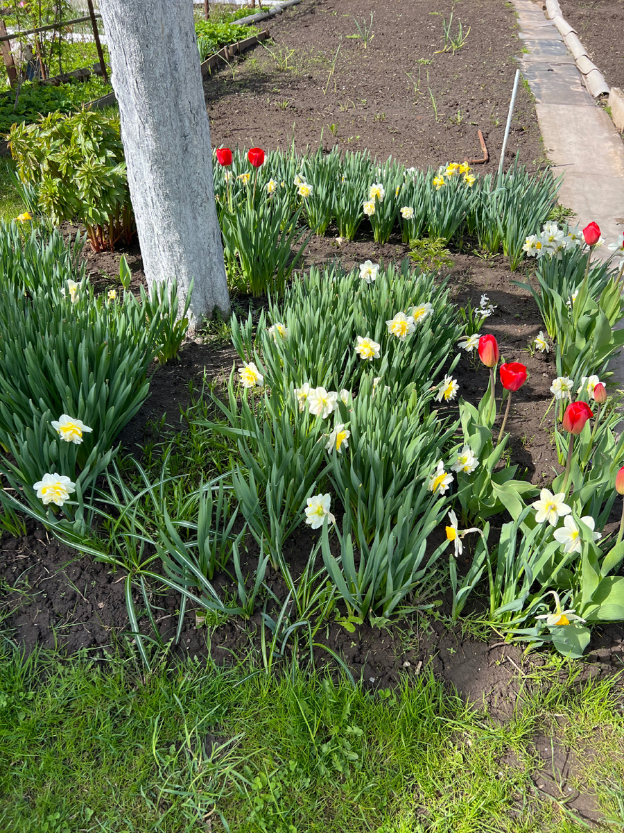 Личное фото. 