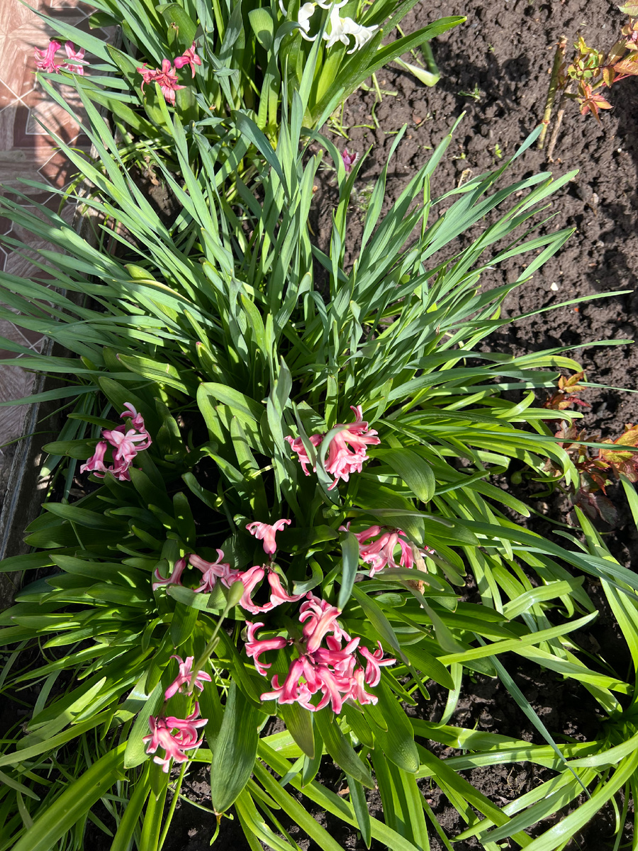 Личное фото. 