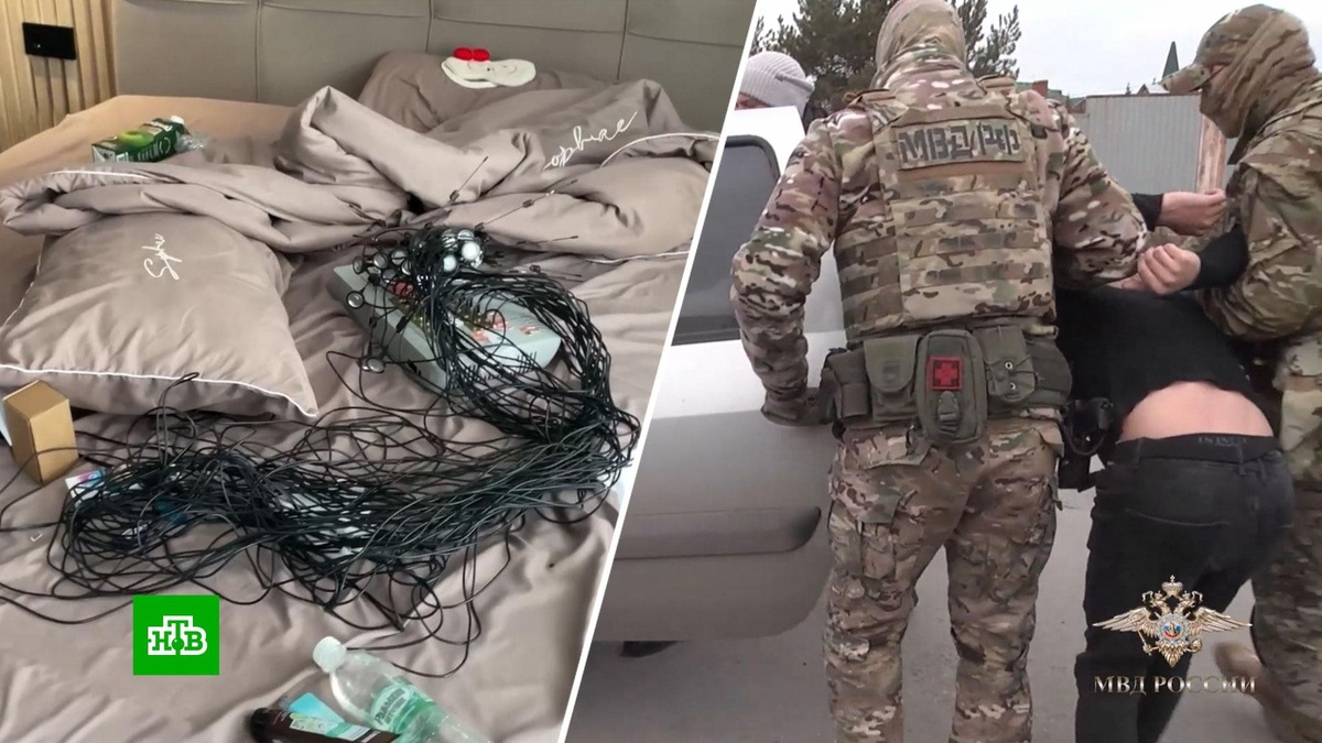    Искусственный интеллект нашел узлы связи телефонных мошенников в 11 регионах РФ