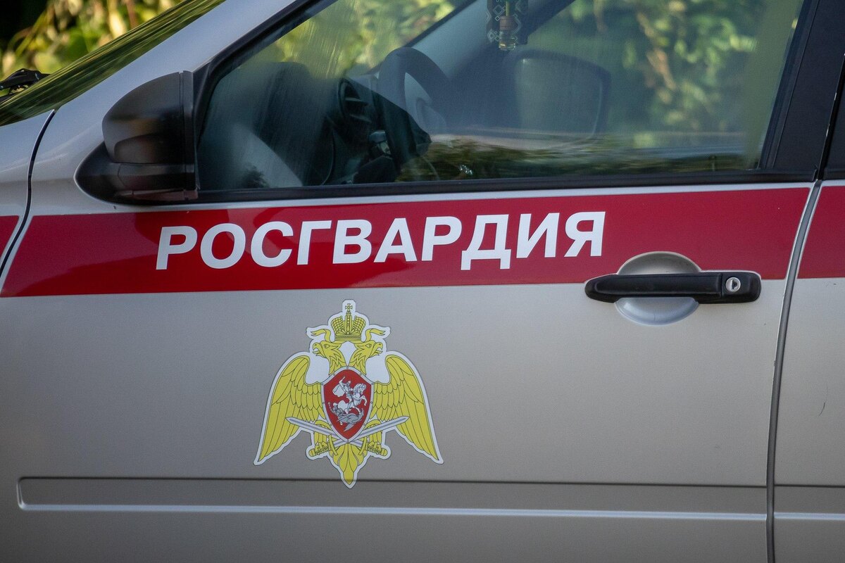    Фото: телеграм-канал Росгвардия Краснодарский Край