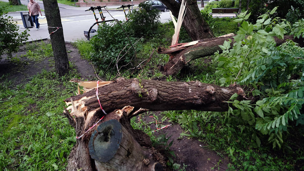 Фото: Алексей Назаров / Коммерсантъ