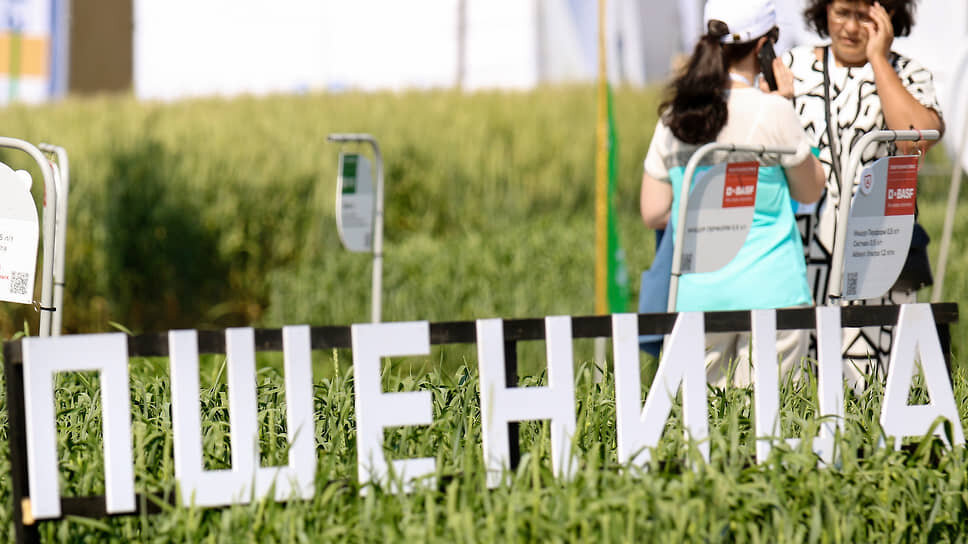 В Татарстане увеличат финансирование АПК до 15,1 млрд рублей в 2025 году.📷Фото: Данила Егоров / Коммерсантъ