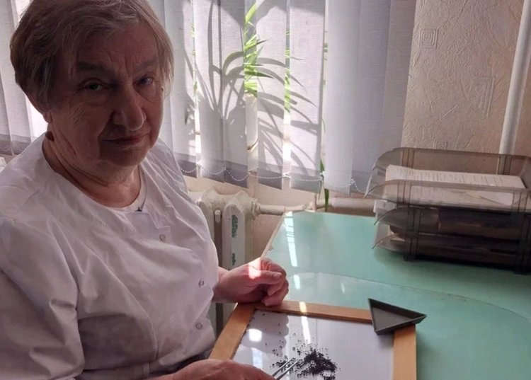    В ДНР впервые сеют яровой рапс