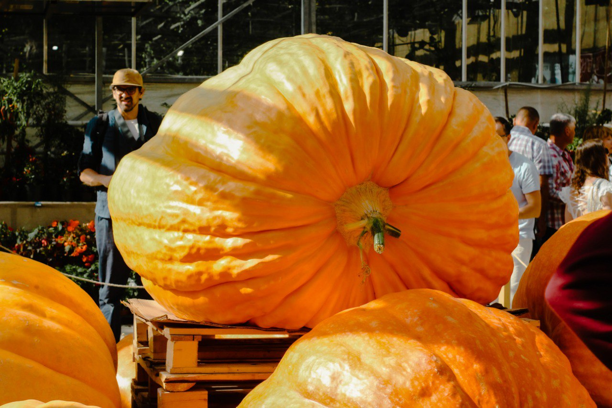 Фото: автора