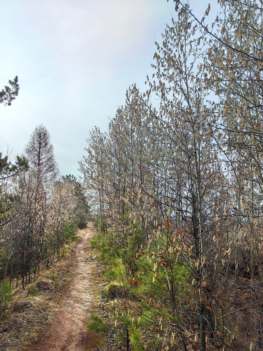 Дорожка до дома