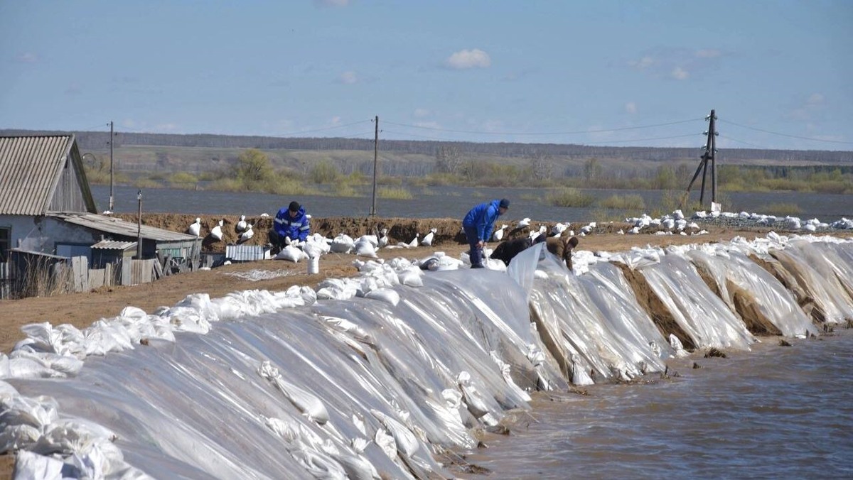    Фото: штаб #МЫВМЕСТЕ Тюменской области