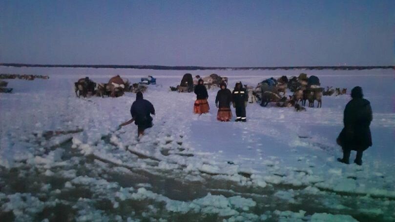    Фото: Фото: ГБУ «Ямалспас»